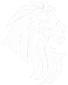 Lionize Wedding Photography, Sheffield Wedding Photographer