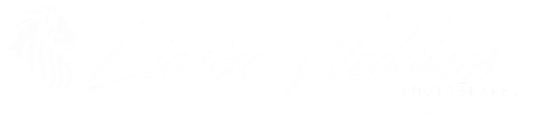 Lionize Wedding Photography, Sheffield Wedding Photographer